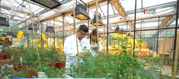 凝练前瞻性未来技术方向 高校增设“四新”专业聚焦生物育种