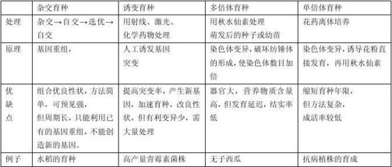 高中生物必修二第六章 从杂交育种到基因工程——生物育种知识点全解析